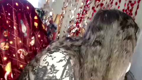 Var Kiss online show from 04-04-26, 04:33