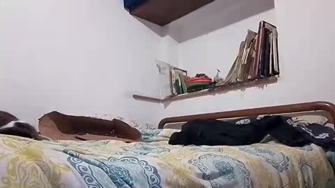 Snapshot of vasaryus chatting on 05-03-26, 04:40 vasaryus online show from 05-03-26, 04:40