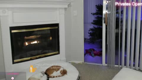 vegas_romance online show from 02-12-25, 08:49