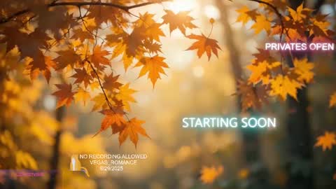 vegas_romance online show from 09-30-25, 02:16