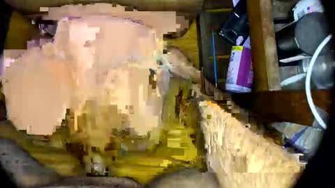 vegujo online show from 02-07-25, 07:07