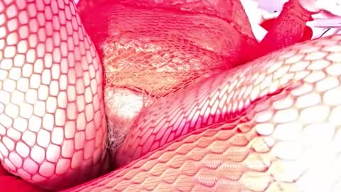 Vehe Veun online show from 12-18-25, 07:20