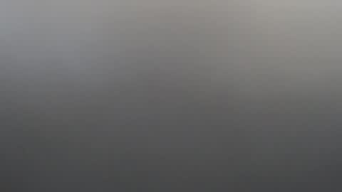 velvetteasexx online show from 02-02-26, 01:26