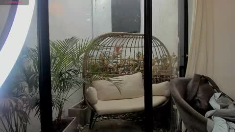 VENUS online show from 01-11-26, 02:22