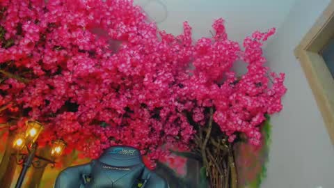 Venus Blazer  online show from 10-29-25, 11:01