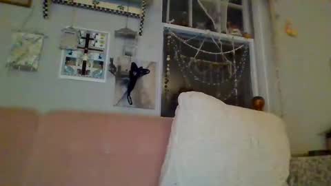 Snapshot of venuskisth chatting on 01-09-25, 08:13 venuskisth online show from 01-09-25, 08:13