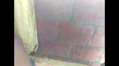 ver_gonblack online show from 12-22-24, 04:59