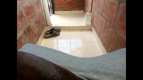 ver_gonblack online show from 02-12-25, 06:19