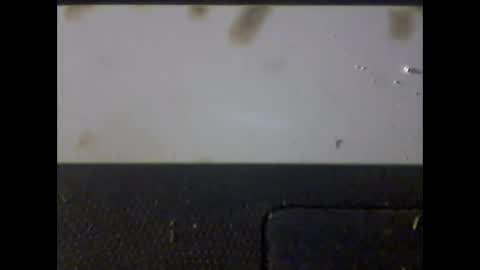 Im DanielVerdo  25 years old Lets have Fun and just ask what wanne know   tnew anal bigock cum  slave  fullnaked online show from 03-01-25, 06:35