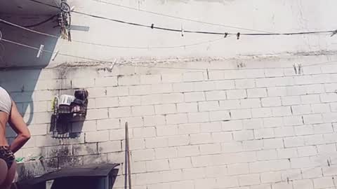 Vero Alva online show from 01-30-25, 05:17