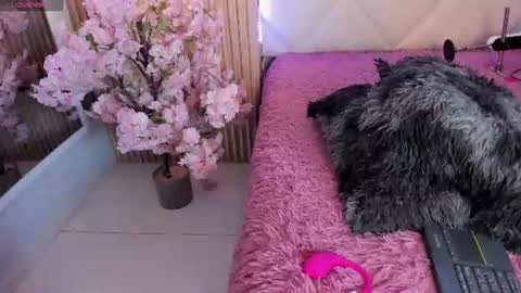 veronica_hill_ online show from 06-10-26, 03:07