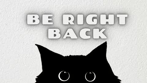 Anaya online show from 02-13-26, 11:50