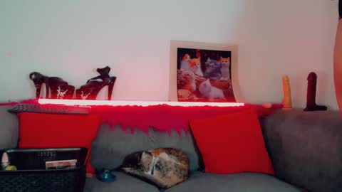 Snapshot of vicky_gill_ chatting on 10-17-25, 07:49 vicky_gill_ online show from 10-17-25, 07:49