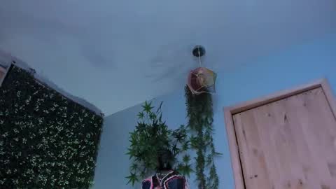 Victoria   online show from 03-25-26, 10:05