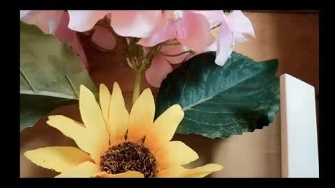 Snapshot of vickyvalencia2 chatting on 05-04-26, 02:02 vickyvalencia2 online show from 05-04-26, 02:02