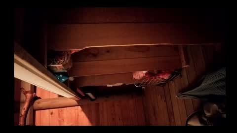 Snapshot of vickyvalencia2 chatting on 05-17-26, 05:16 vickyvalencia2 online show from 05-17-26, 05:16