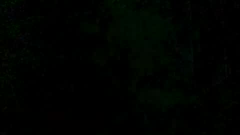 victoriavega307847 online show from 08-10-26, 04:16