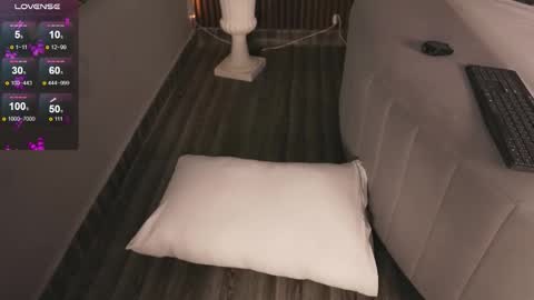 hi Im daniela  I will be online again in 15 hours after each transmission 3 online show from 11-29-25, 11:30