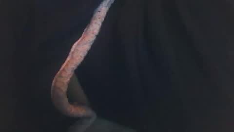 vicvictoree online show from 12-14-25, 02:06