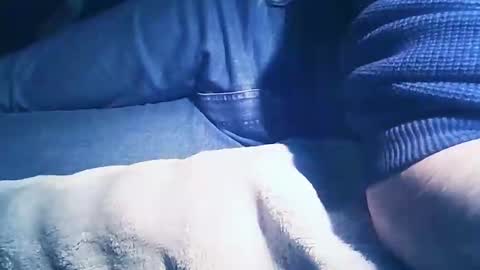 vicvictoree online show from 02-01-26, 07:01