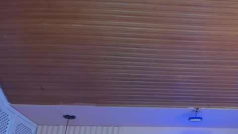 Viiolett online show from 10-01-25, 08:26