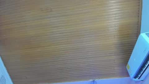 Snapshot of viiolett_lee chatting on 03-29-26, 07:47 Viiolett online show from 03-29-26, 07:47