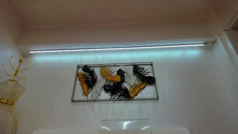 Snapshot of vikafever chatting on 11-10-25, 04:11 vikafever online show from 11-10-25, 04:11