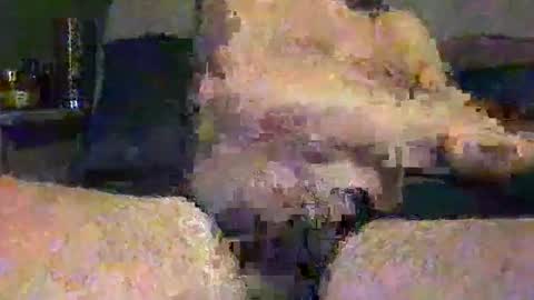 Vinny online show from 05-01-26, 07:46