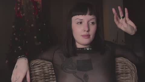Snapshot of vinylstore chatting on 12-25-24, 09:11 Diva Silvia online show from 12-25-24, 09:11
