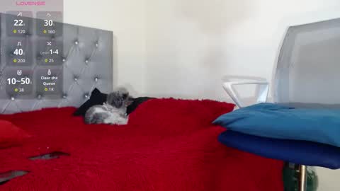 Snapshot of vinzent_lafed_ chatting on 10-05-25, 07:39 vinzent_lafed_ online show from 10-05-25, 07:39