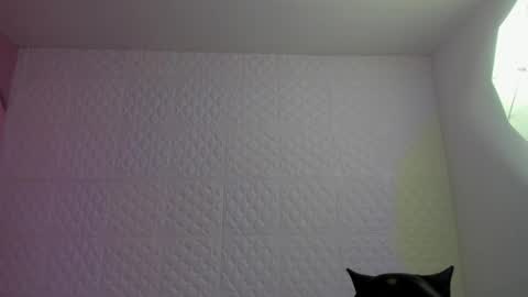     online show from 05-04-26, 09:22