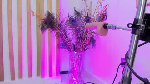Violeth Hill online show from 12-27-24, 12:23