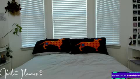 Violet Flowers online show from 01-05-25, 06:13