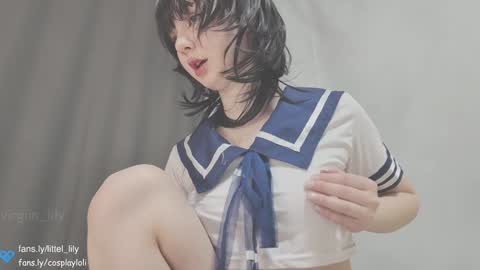 Snapshot of virgiin_lily chatting on 12-22-24, 02:49 Lily online show from 12-22-24, 02:49