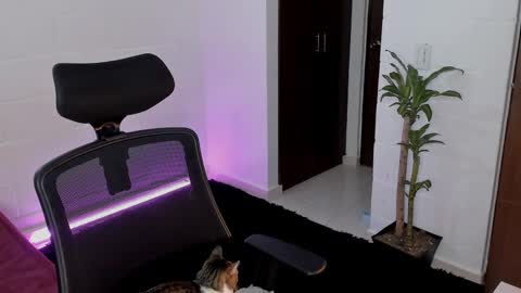 Lu online show from 03-05-25, 12:27