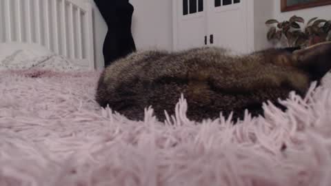 Visceratio online show from 02-07-25, 09:15