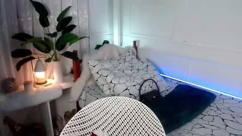 Vivian online show from 02-05-25, 07:53