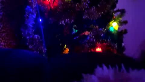 Vivi online show from 01-11-26, 11:43