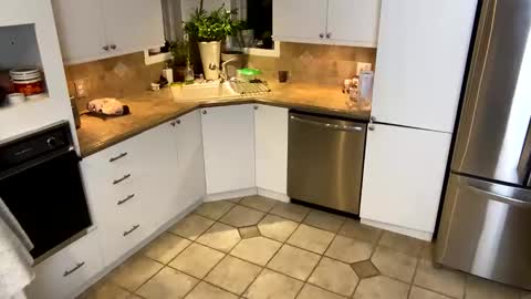 Vivlove online show from 01-20-25, 11:35