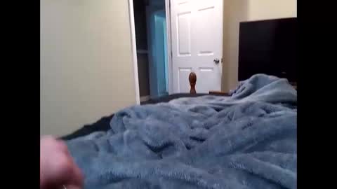 vladedivac1998 online show from 03-31-26, 06:19