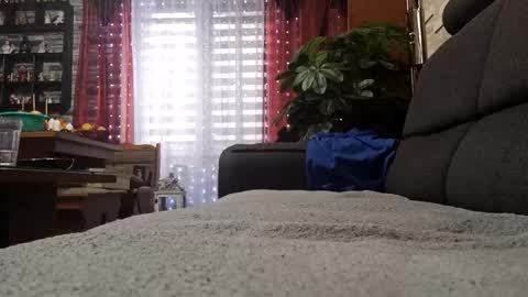 Snapshot of vlami69 chatting on 11-30-25, 08:40 vlami69 online show from 11-30-25, 08:40