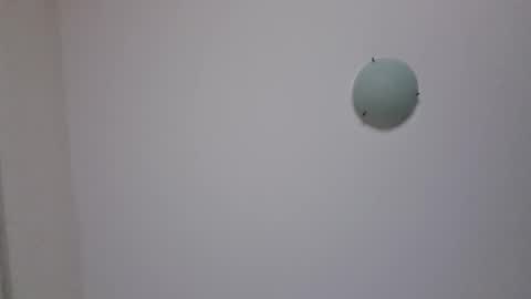 Snapshot of vogboy89 chatting on 02-08-26, 11:13 Leakyknob online show from 02-08-26, 11:13