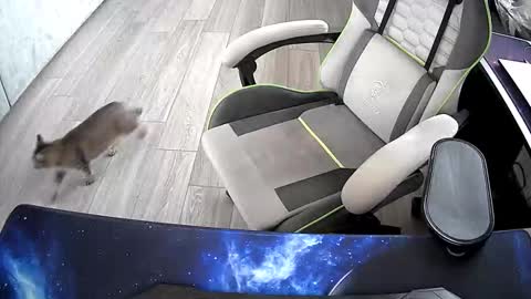 Vonn online show from 10-21-25, 06:47