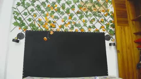 skay online show from 04-28-26, 02:55