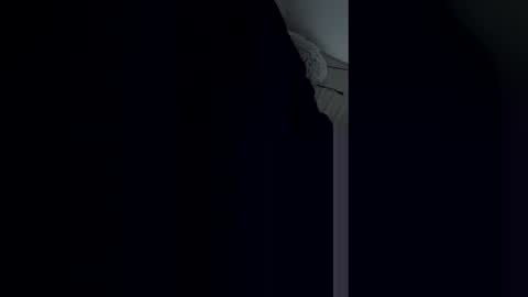 Snapshot of waffleman504832 chatting on 05-24-26, 11:21 waffleman504832 online show from 05-24-26, 11:21
