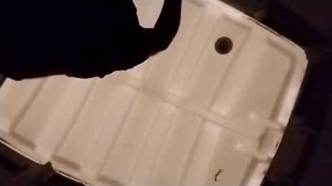 Snapshot of waffywaff77 chatting on 12-04-25, 01:09 waffywaff77 online show from 12-04-25, 01:09