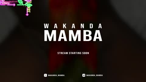 Wakanda Mamba online show from 11-17-25, 03:40