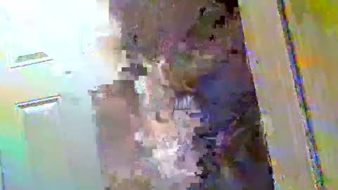 Walter online show from 12-09-24, 10:43