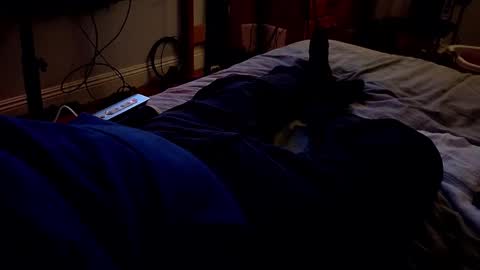 Snapshot of waltsobchak chatting on 03-20-26, 03:22 I love the ol in-n-out online show from 03-20-26, 03:22