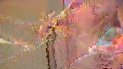 want2cum4gal online show from 12-29-24, 10:47